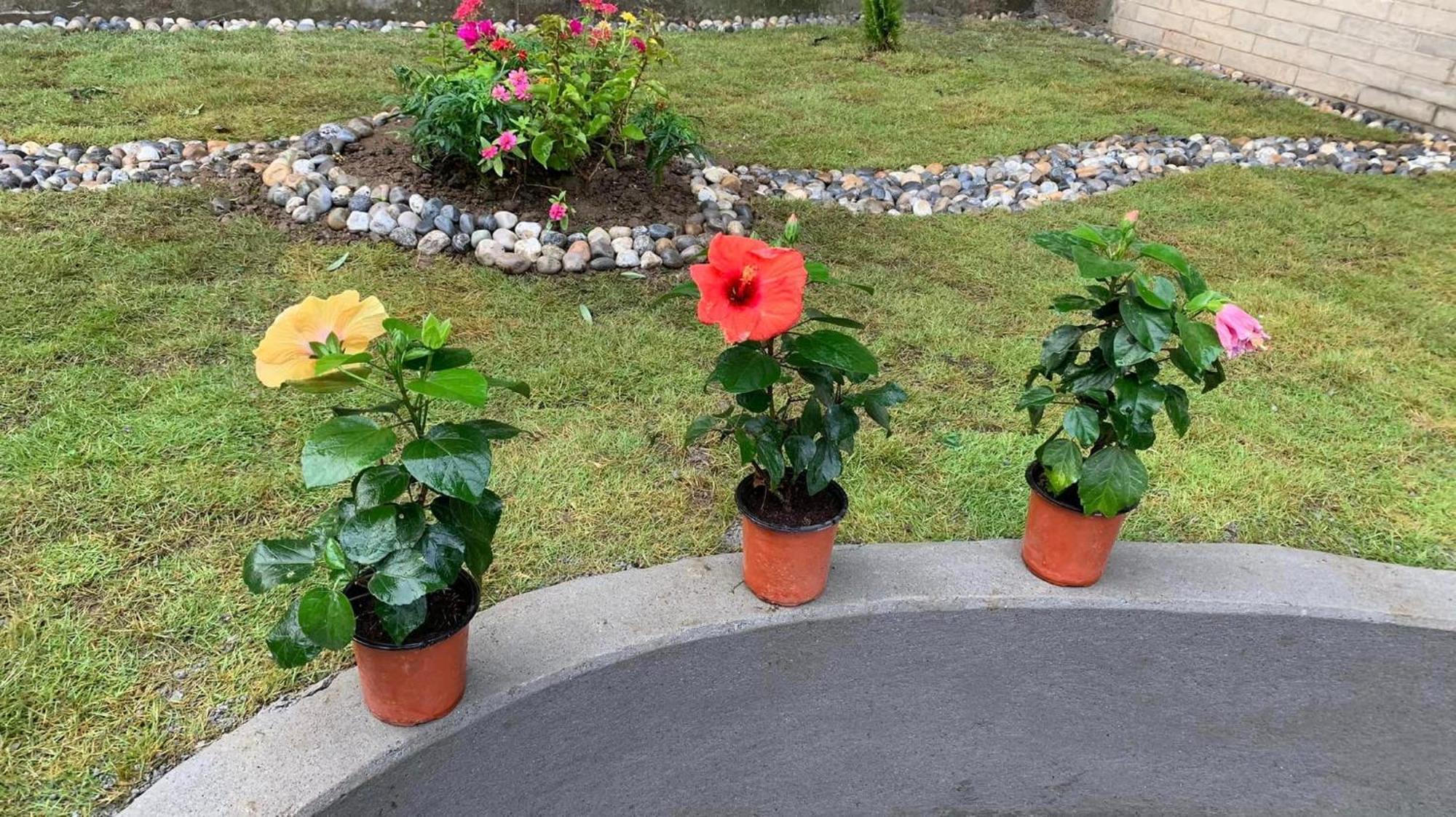 Rj-Residence Pokhara Zewnętrze zdjęcie